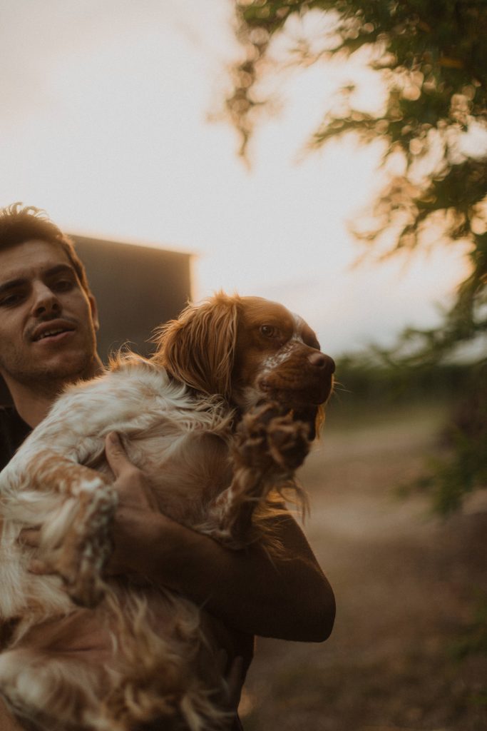 Servizio fotografico cane Servizio fotografico cane