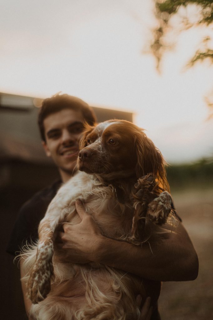 Servizio fotografico cane Servizio fotografico cane